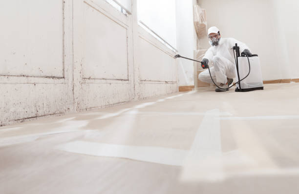 24/7 Emergency Mold Remediation experts in Saint Augustine, FL